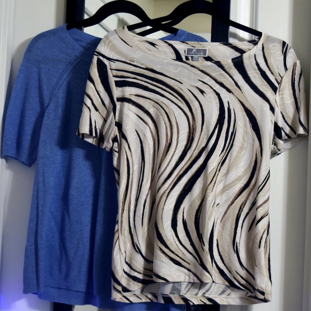 JM Collection zebra print t and Loft blue sweater